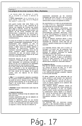 17 pag