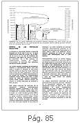 85 pag